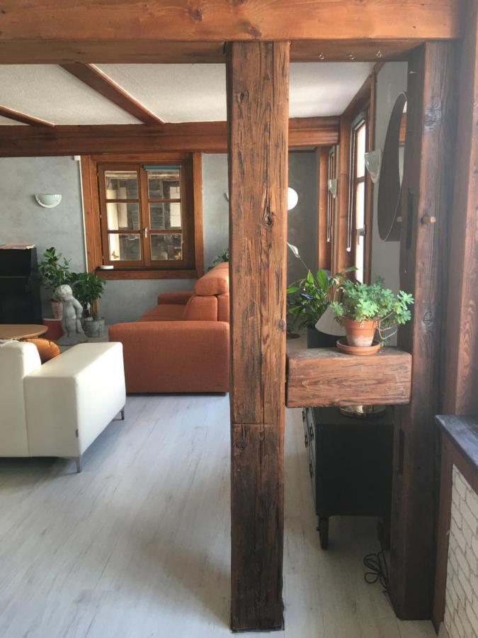 Au Relais De L'Histoire Gite Classe 4 Etoiles Oberbronn Exterior foto